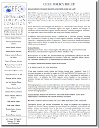 2010 CEEC Policy Brief