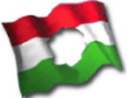 The Hungarian Revolutionary Flag minus the hated Soviet-imposed communist symbols